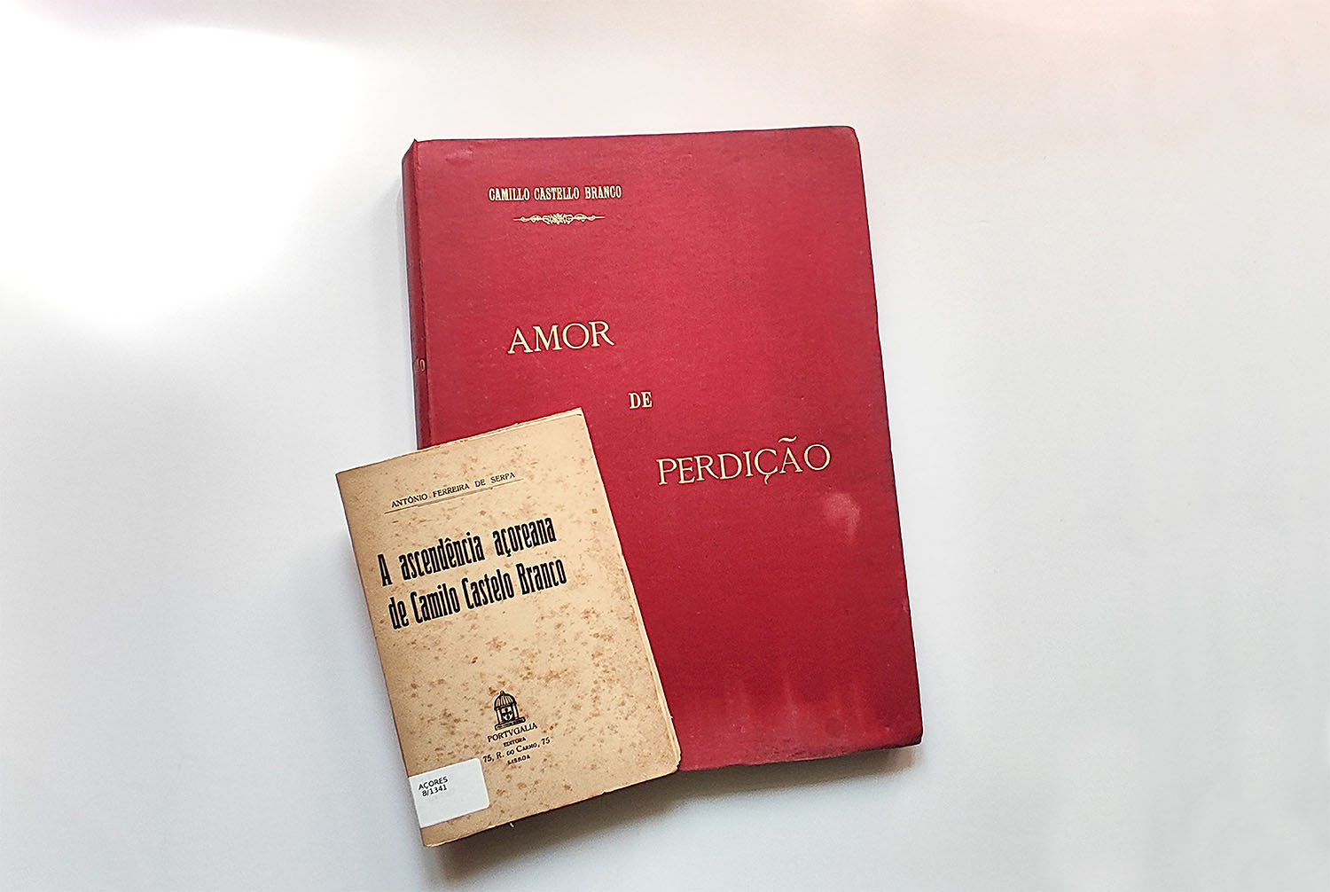 Destaque do mês – abril 2025