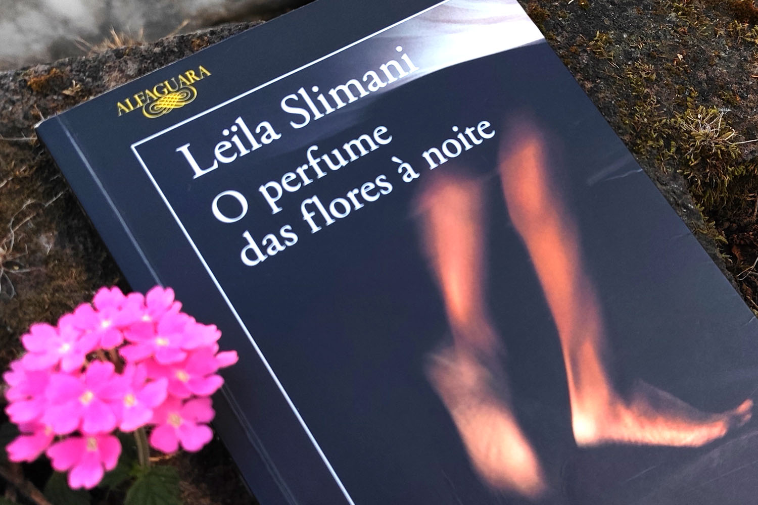Destaque do mês – Setembro